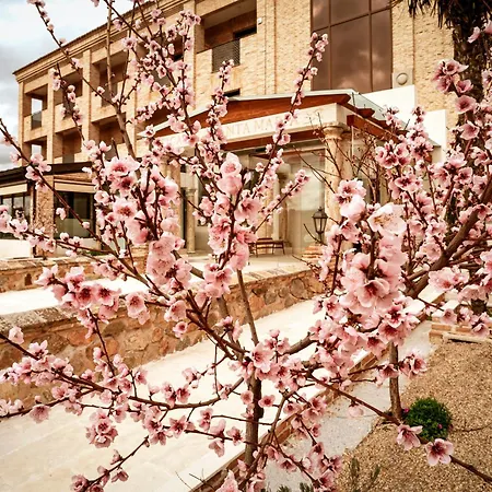 Cigarral Santa Maria 4* Τολέδο