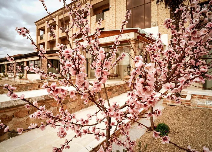 Cigarral Santa Maria 4* Toledo